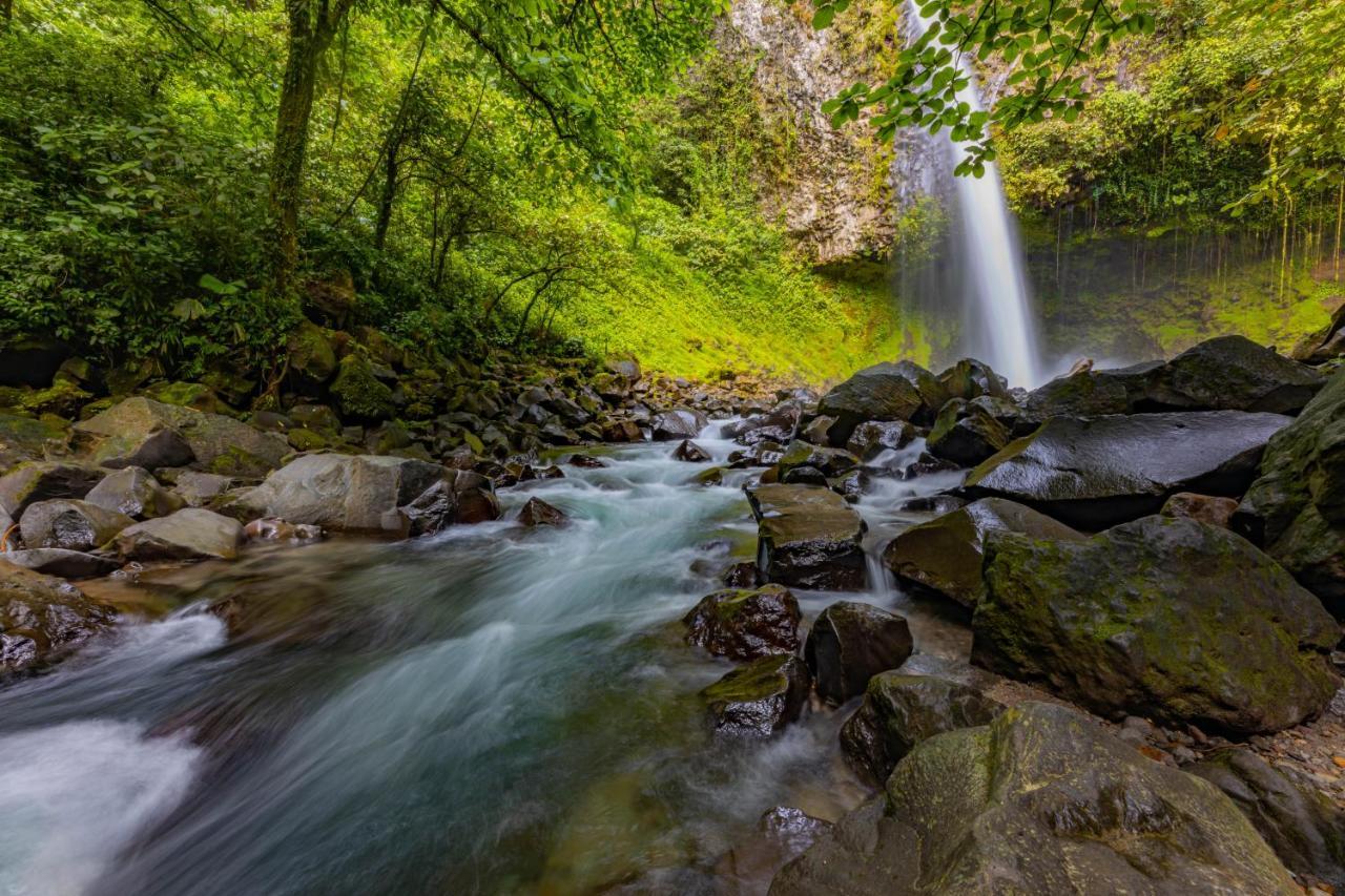 Tifakara Boutique Hotel & Birding Oasis La Fortuna Eksteriør billede