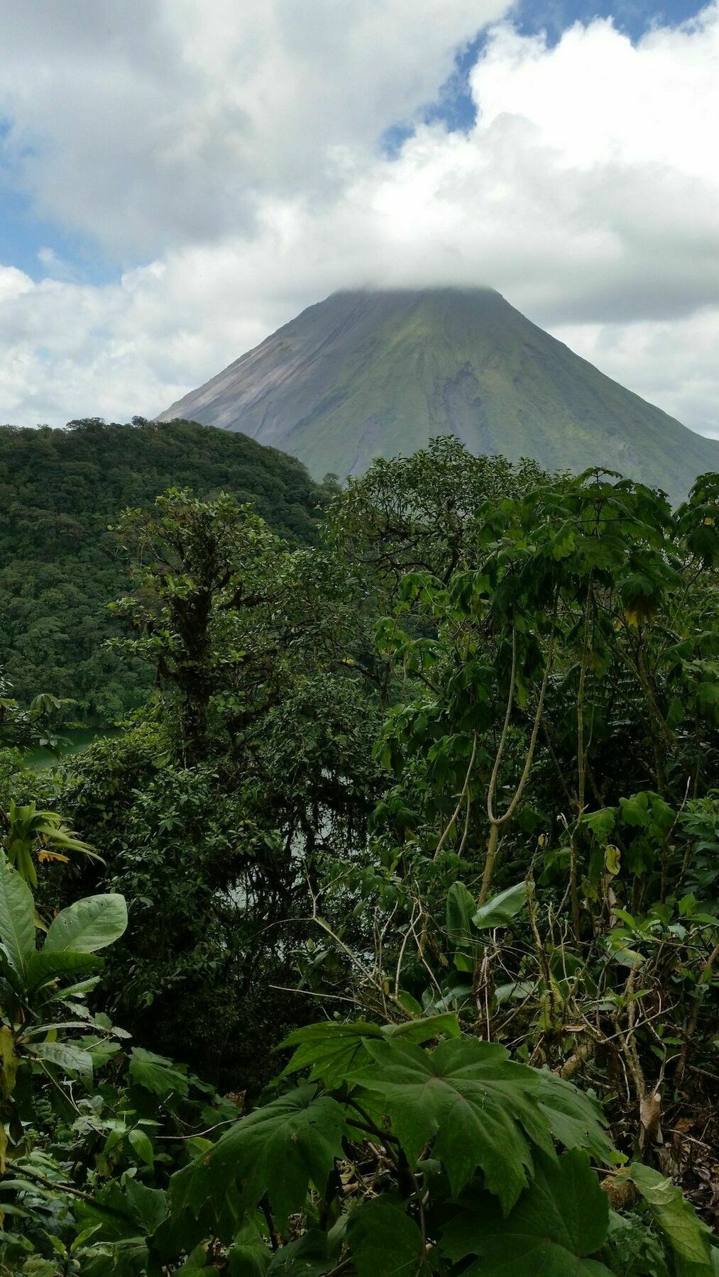 Tifakara Boutique Hotel & Birding Oasis La Fortuna Eksteriør billede